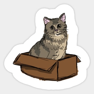 kitty in a box Sticker